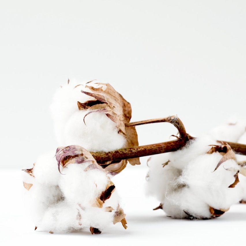 Cotton czyli zapach bawełny dodaje wnętrzu ciepła, otula.